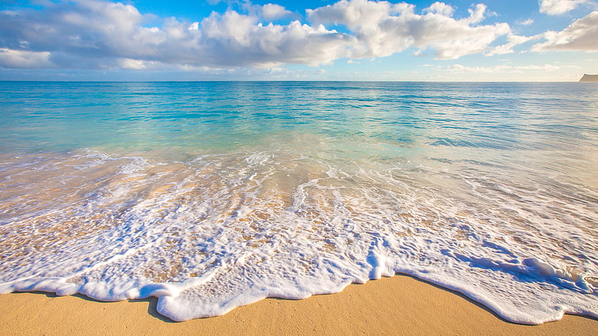 Hawaii Ocean Nature Sand Waves Tropics Scenery Coast, 2560 X 1440 Hawaii HD wallpaper