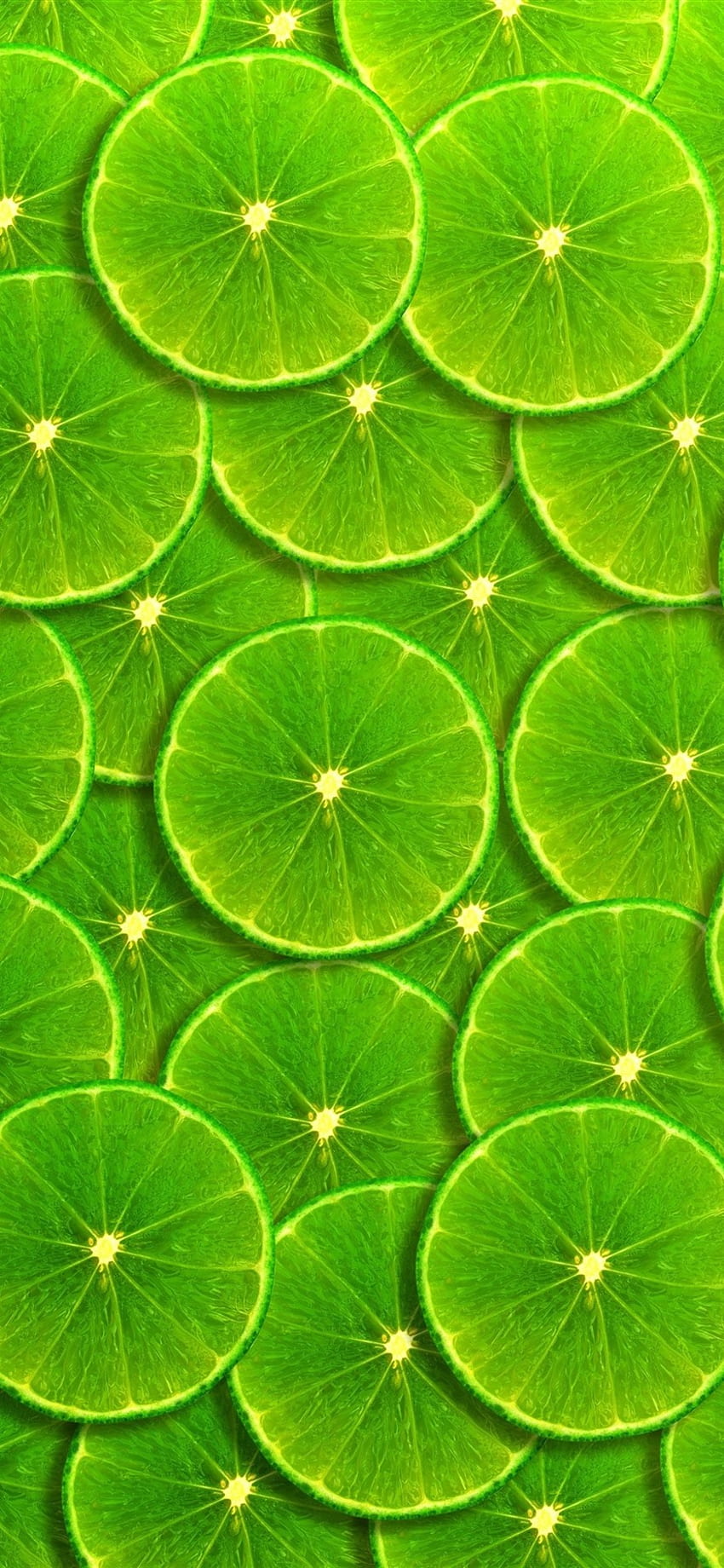 Green Lemon Slices Background IPhone 11 Pro XS X , Background, , Green XR HD phone wallpaper