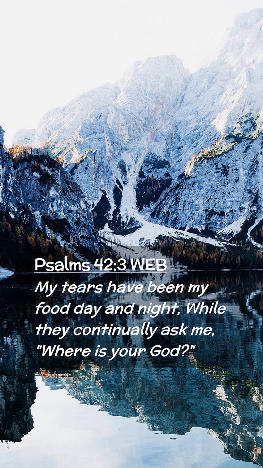 Psalmy 42:3 WEB Telefon komórkowy - Moje łzy były moim pokarmem w dzień iw nocy, podczas gdy wyobraź sobie smoki ptaki Tapeta na telefon HD