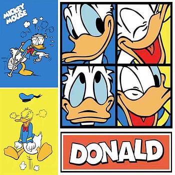 Donald duck full HD wallpapers | Pxfuel