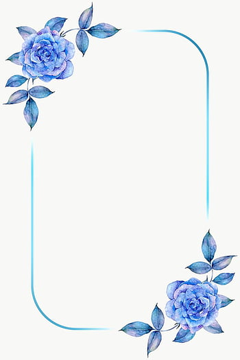 Border frame with pink rose flower buds branches isolated on white  background Flat lay top view Floral background Floral frame Frame of  flowers Stock Photo  Adobe Stock