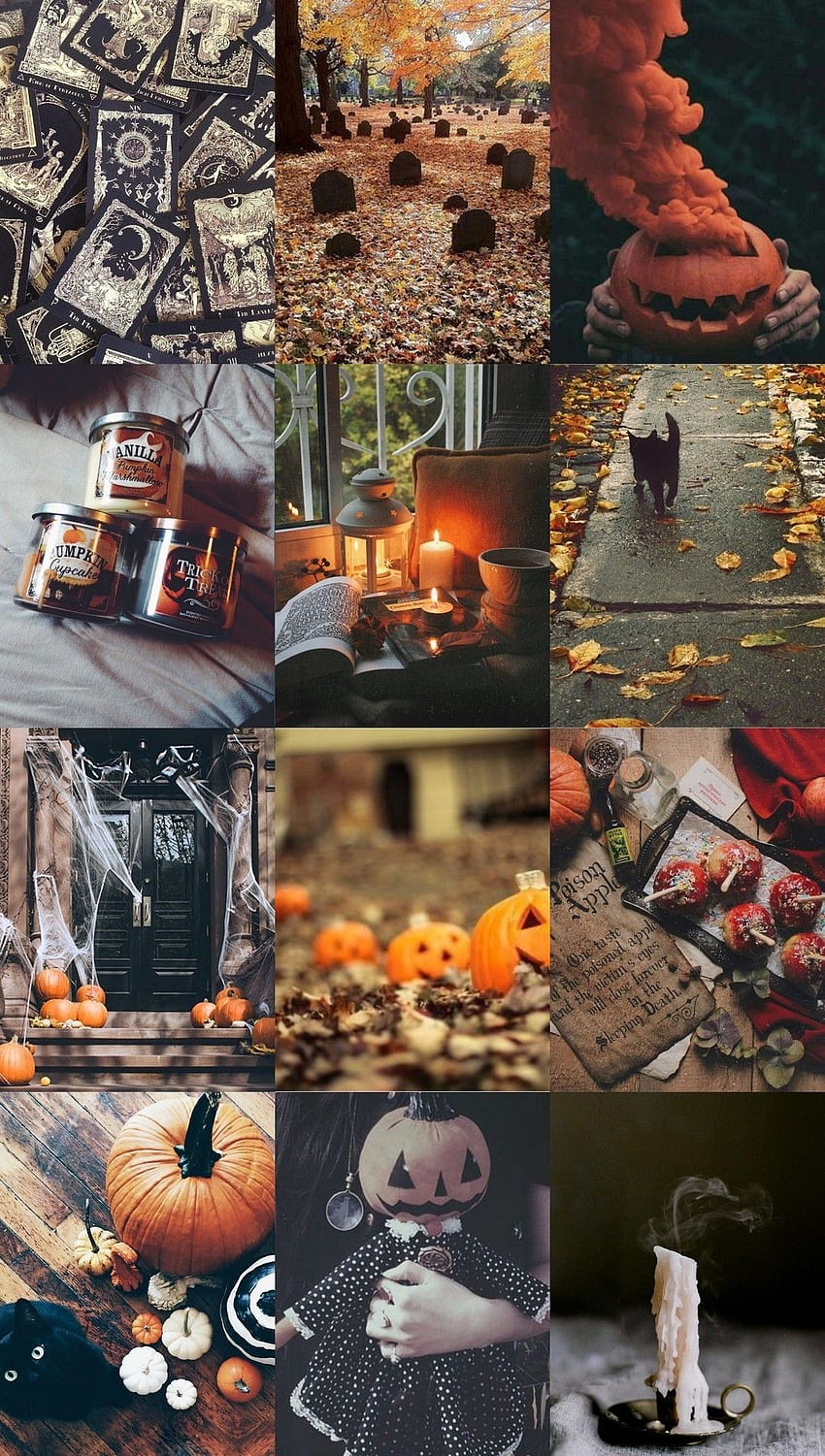Halloween Samhain Witch, Autumn Witch HD phone wallpaper | Pxfuel