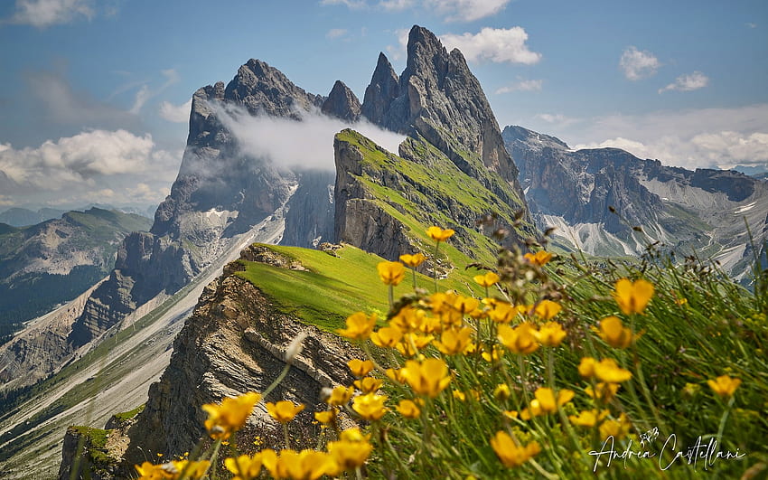 Sceda, Italy, Italy, meadow, flowers, mountains HD wallpaper