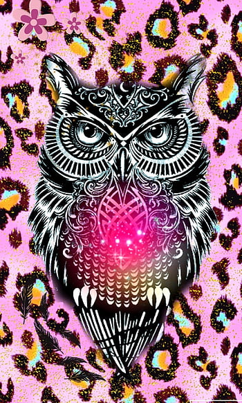 Cute Owl Elegant Cute Owl iPhone afari Of the Day - Left of The Hudson HD  phone wallpaper | Pxfuel