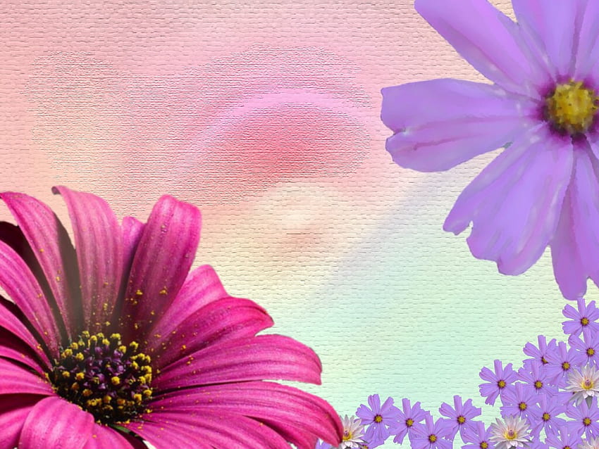 Пролетен мотив, цветя HD тапет