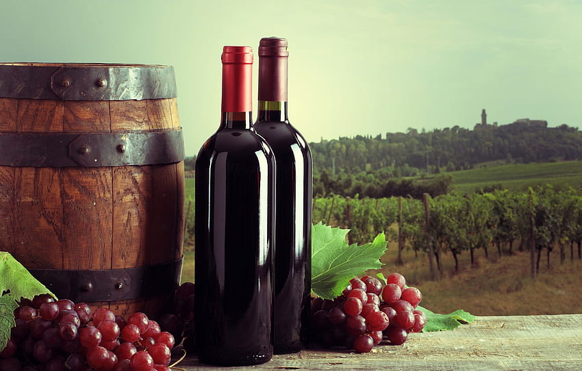 champ, feuilles, paysage, vin, planche, raisins, vignoble, bouteille, baril, bokeh pour , section еда Fond d'écran HD