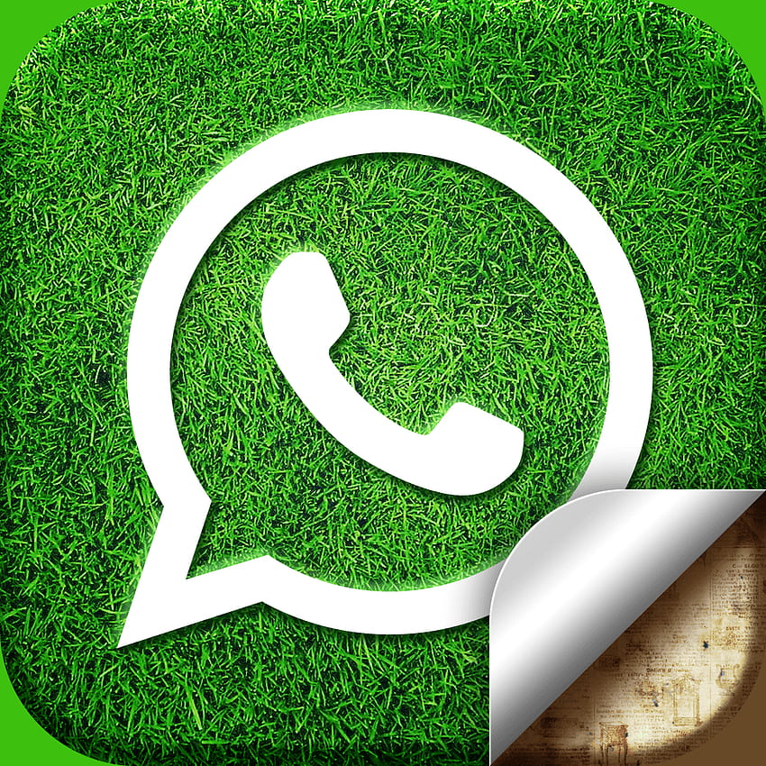 Whatsapp, Whatsapp Logo HD phone wallpaper | Pxfuel