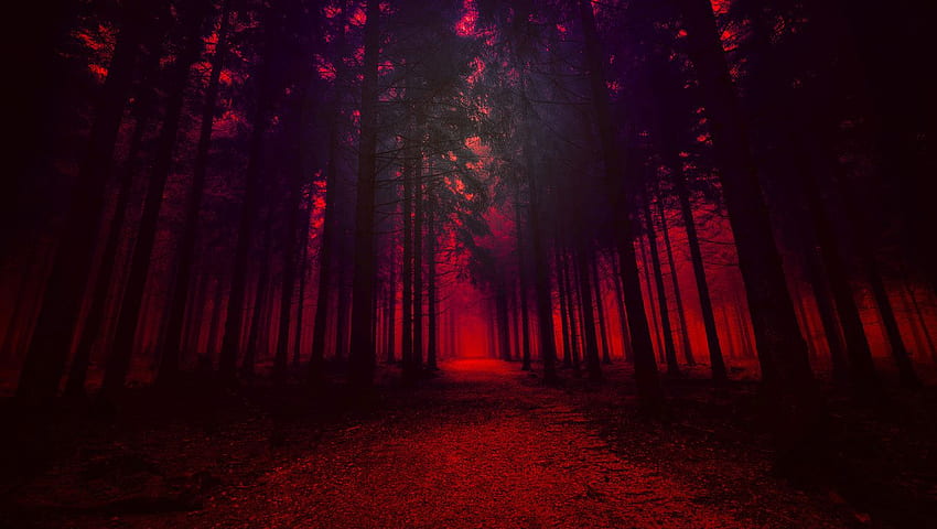 Artistic Red Forest Laptop ,, Red 1360X768 HD wallpaper