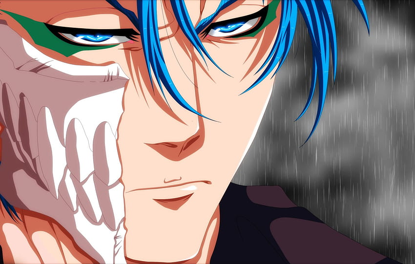 Grimmjow Jaegerjaquez, anime characters, manga, Bleach, HD wallpaper