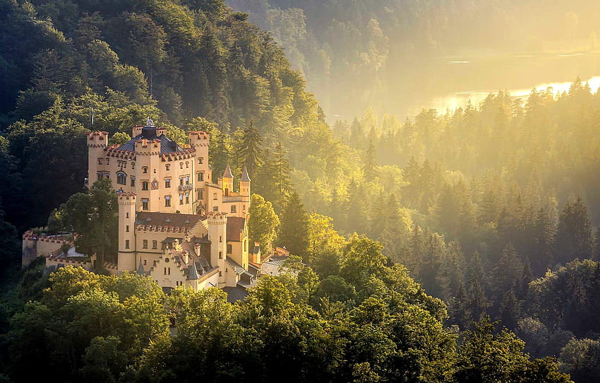 forest, castle, Germany, Hohenschwangau, Hohenschwangau Castle for , section город, Forest Palace HD wallpaper