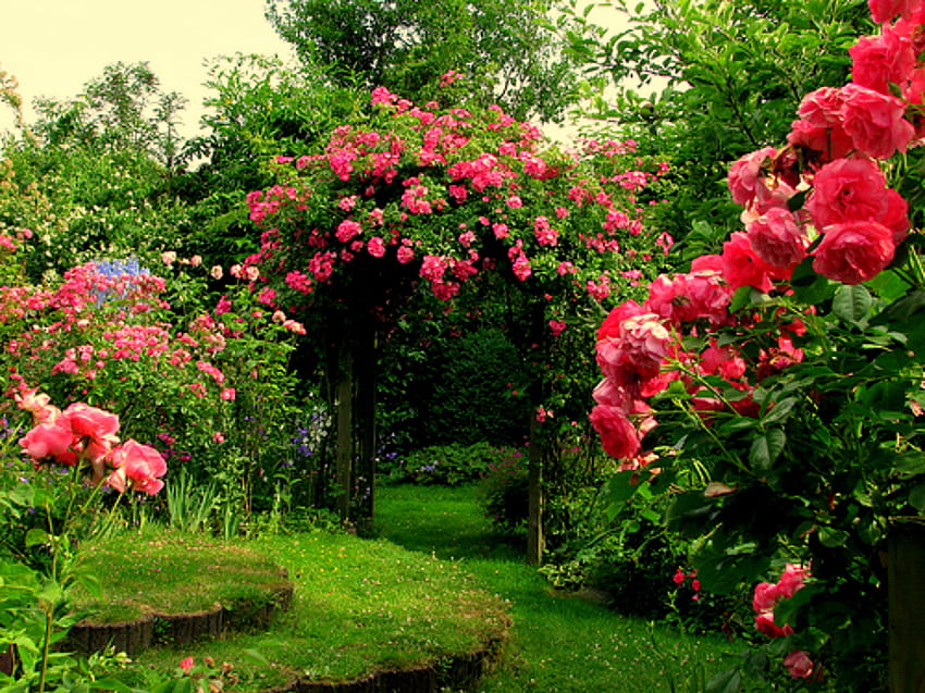 Cascades In The Rose Garden Background English Rose Garden HD wallpaper   Pxfuel
