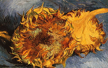 Vincent van Gogh, Sunflowers, NG3863