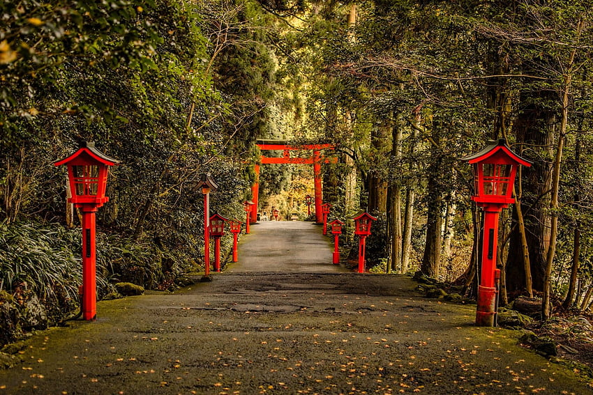日本、風景、自然、木、森、提灯、鳥居、箱根、日本道 高画質の壁紙