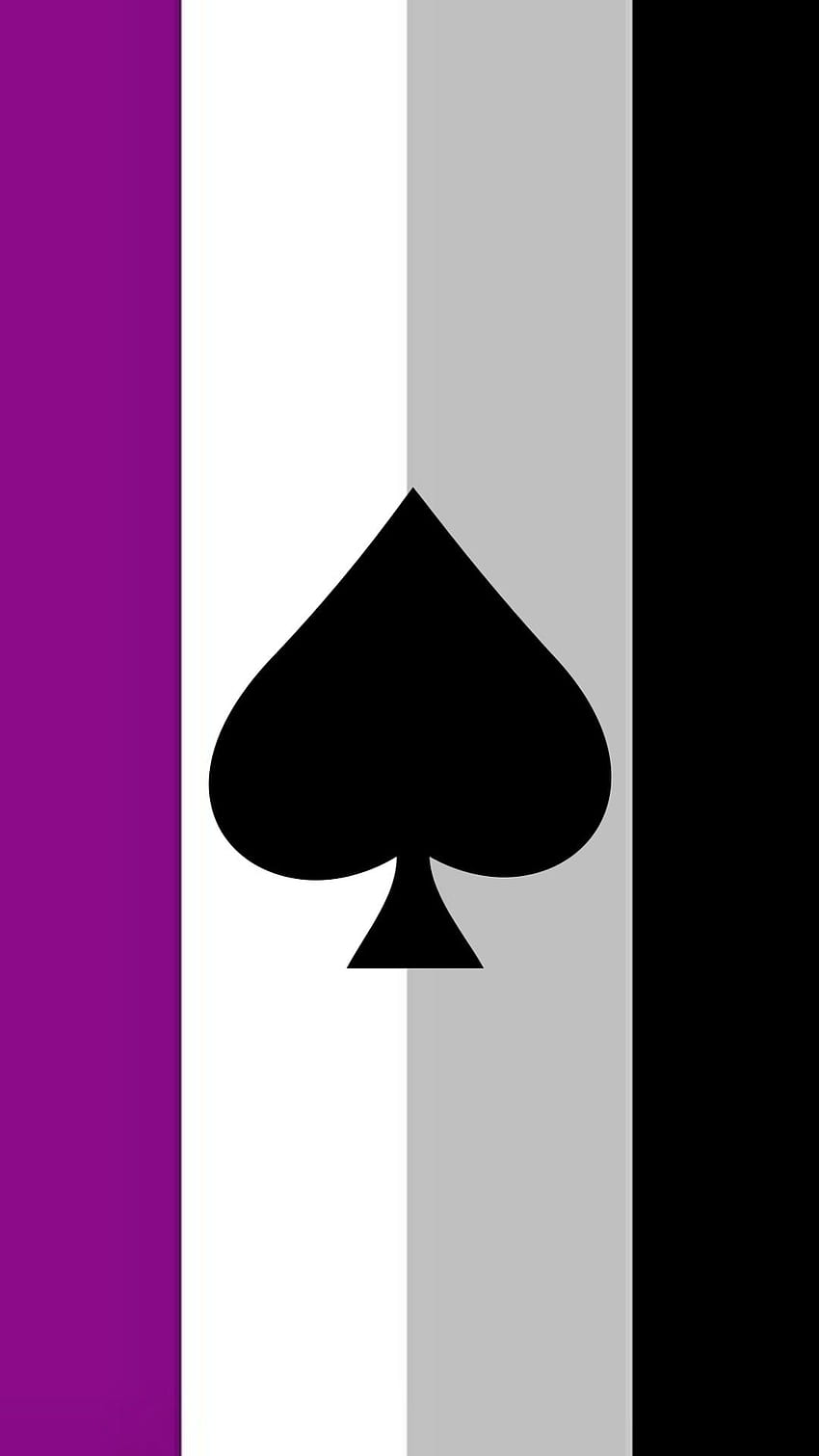 lgbtqia+, bandeira assexual Papel de parede de celular HD