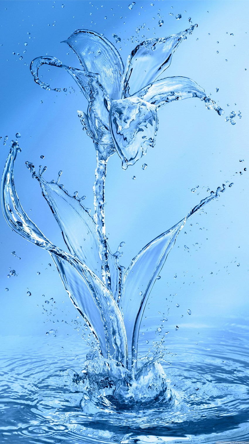 Wasserblumen iPhone. IPhone . Wasserkunst HD-Handy-Hintergrundbild