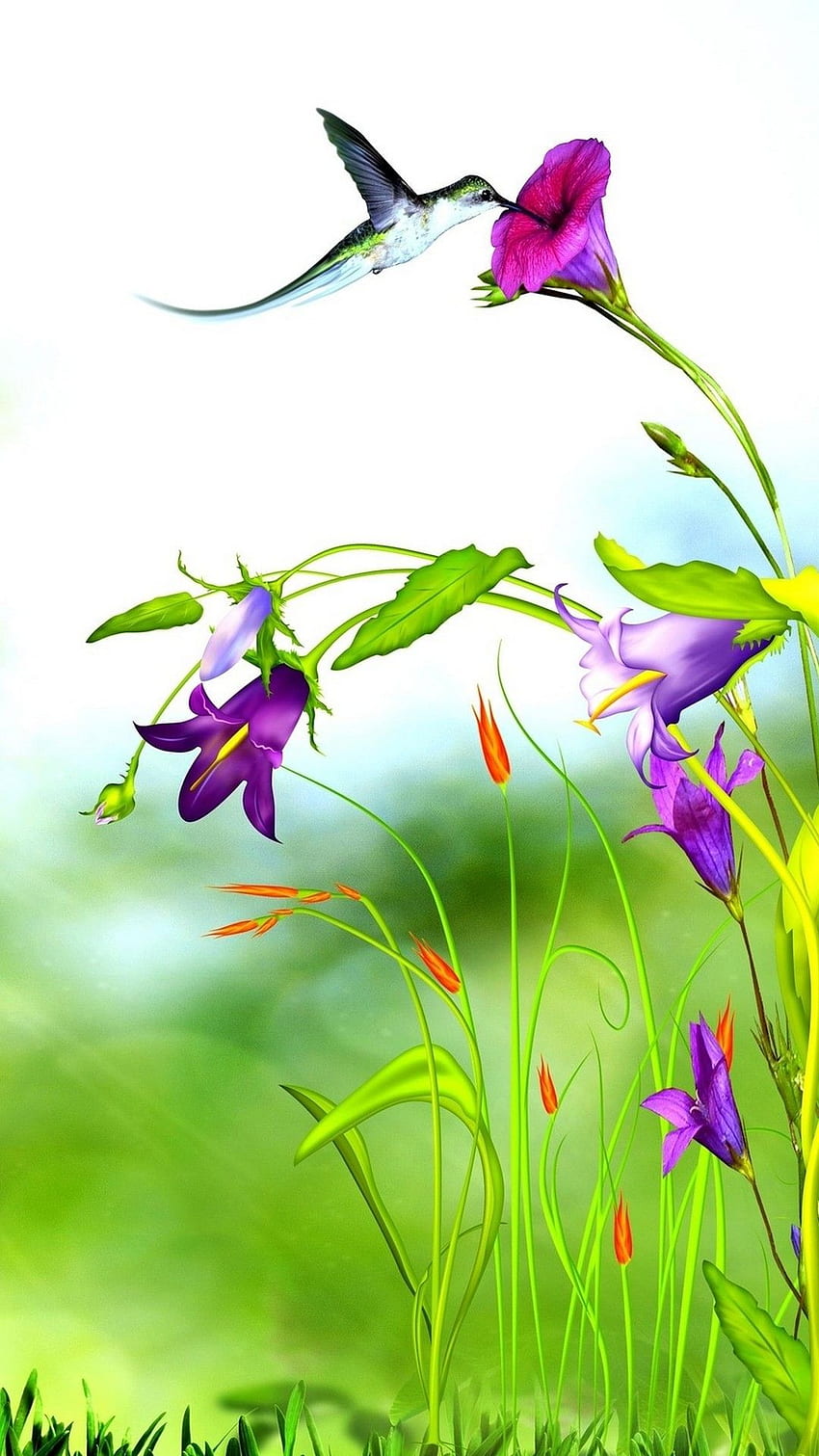 3d hd wallpapers of flowers