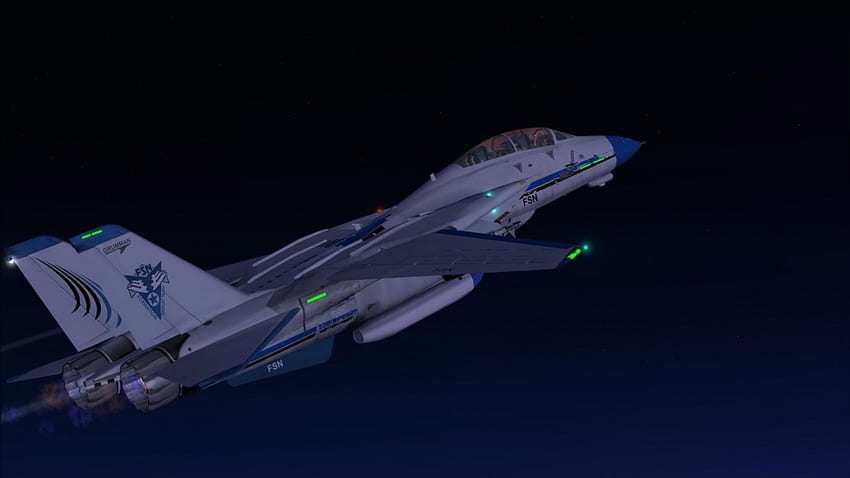 F-14 Tomcat, военни, крило, самолет, флот, огнева мощ HD тапет
