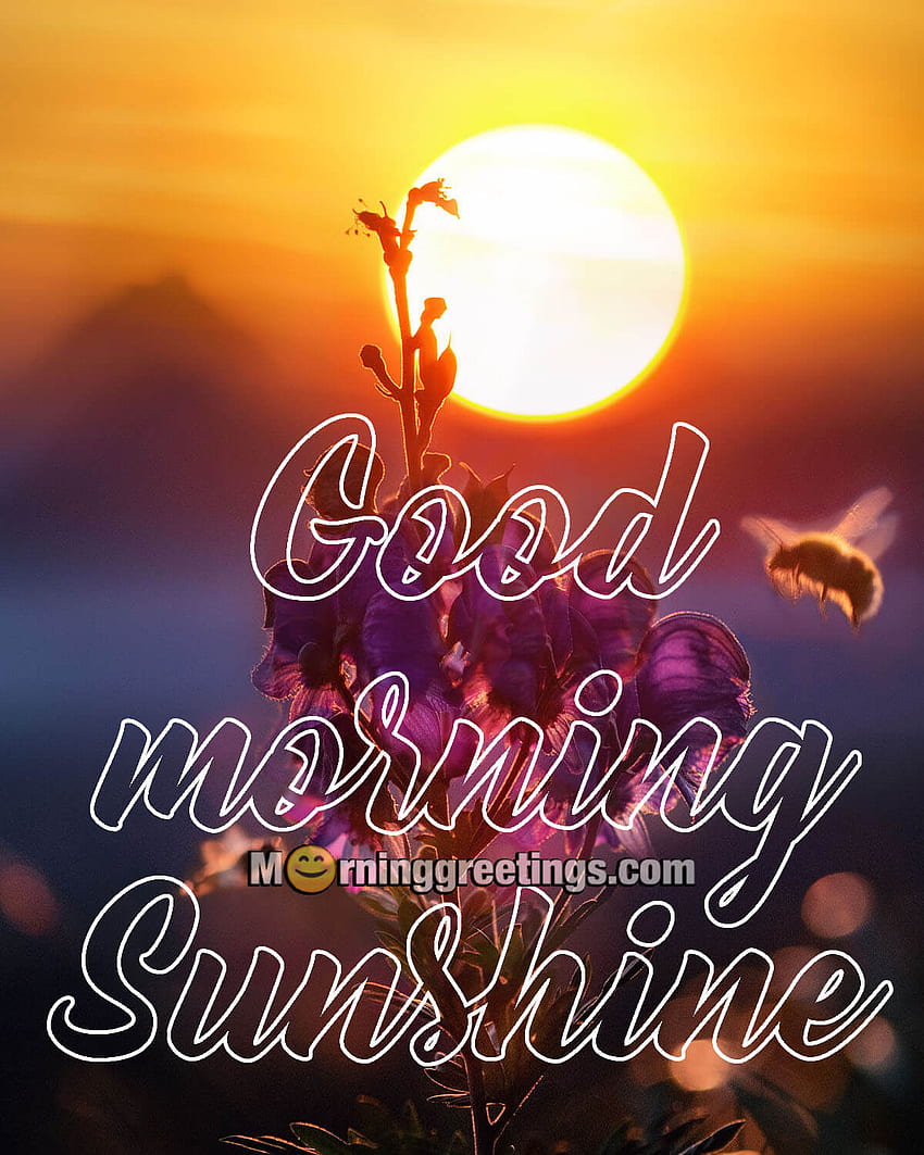 Good Morning - Morning Greetings – Morning Quotes And Wishes ...
