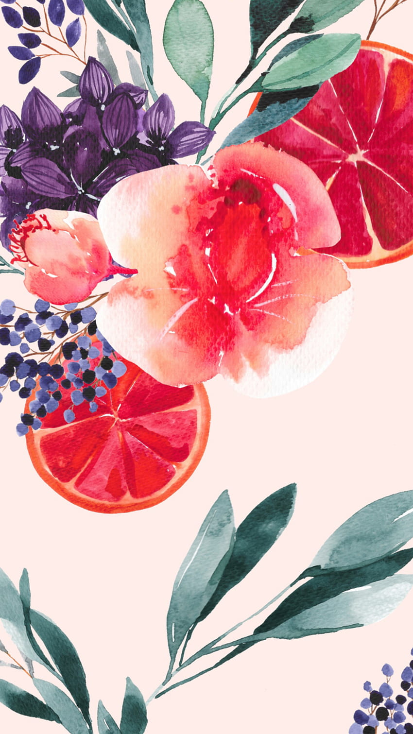 Grapefruit. Blaubeeren. Pfirsichrosa Rosen oder Pfingstrosen. Hyazinthe. Blumen, hübsches iphone, Kunst, Blaubeerblumen HD-Handy-Hintergrundbild
