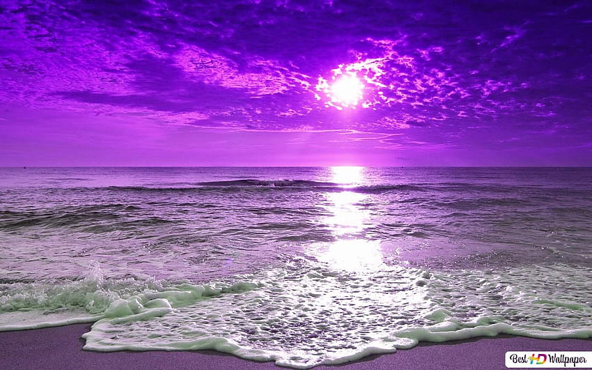 Purple Beach Sunset, Purple Ocean Sunset HD тапет