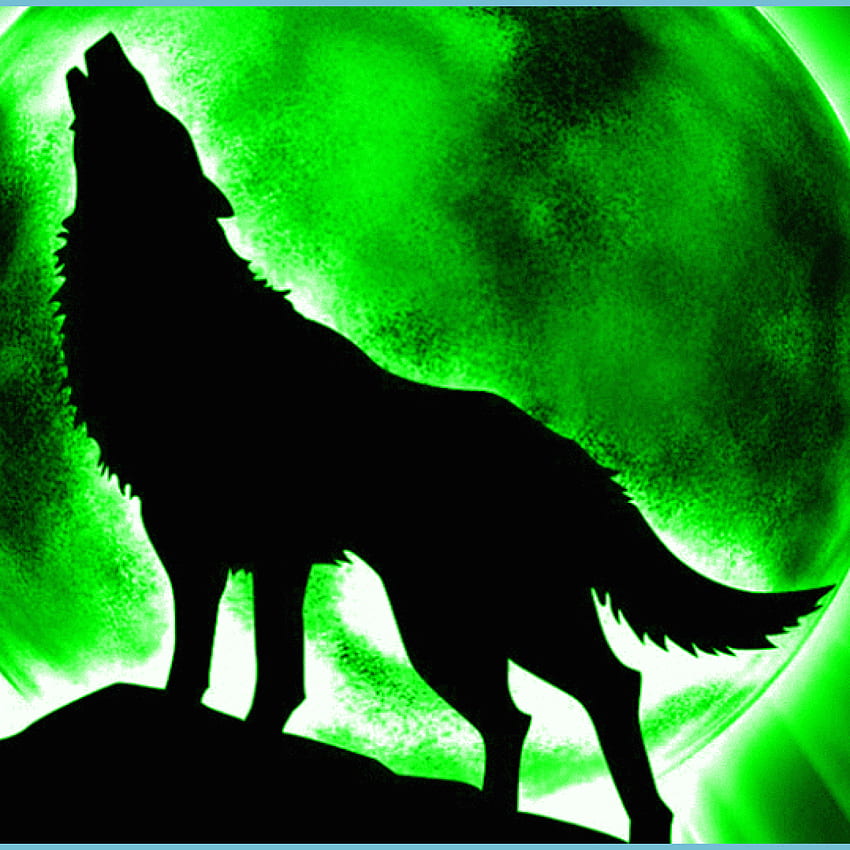 Colorful wolf HD wallpapers | Pxfuel