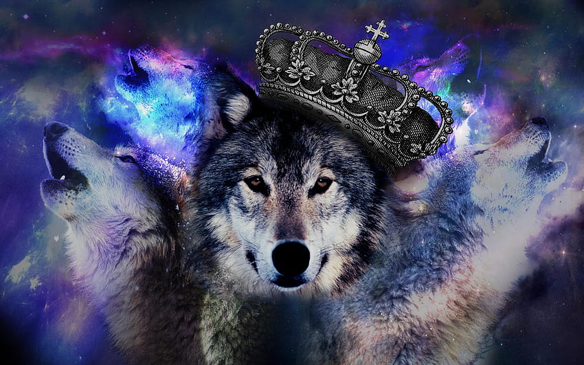 Wolf Jllsly. Wolf, Anime-Wolfsmädchen, Galaxy-Wolf, Legendärer Wolf HD-Hintergrundbild