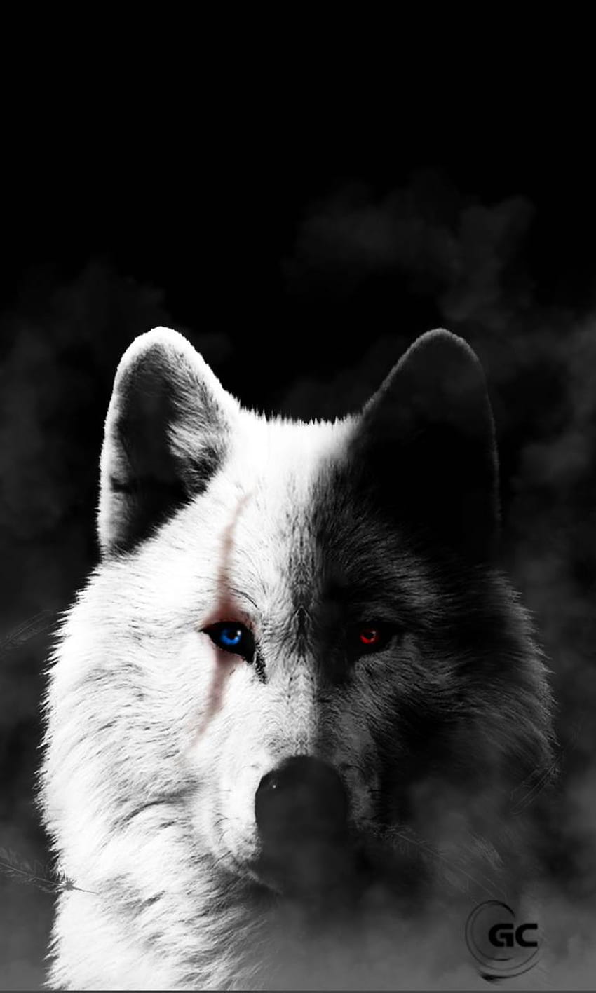 White wolf with black stripes  Anime wolf Cartoon wolf Fantasy wolf