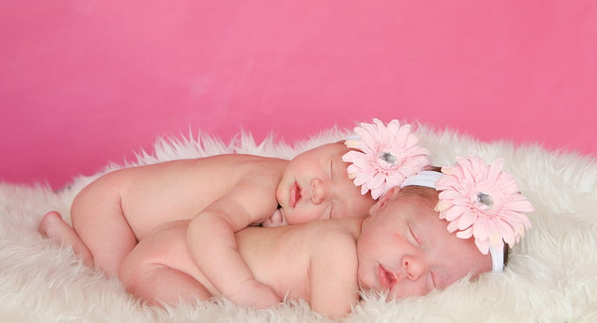 Babies, graphy, cute, baby, colors, small, beauty, nice, gerber, flower, sleep, sweet, white, children, twins, girl, beautiful, pink, pretty, cool, girls, flowers, lovely, child HD wallpaper