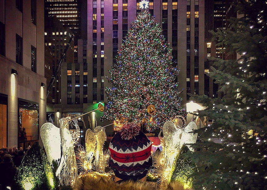Visiting Home Alone 2 locations in New York City - Dean Pelić, New York Times Square Christmas Tree HD wallpaper