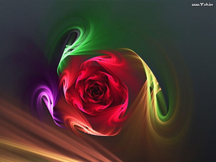 flor de cor, 3d e cg, resumo papel de parede HD