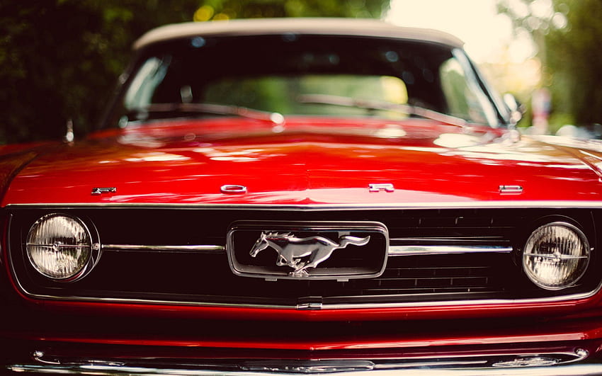 Auto, Cars, Ford Mustang HD wallpaper