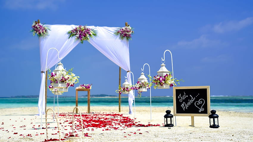 Beach Wedding Setup - Beach Wedding Party Maldives HD wallpaper