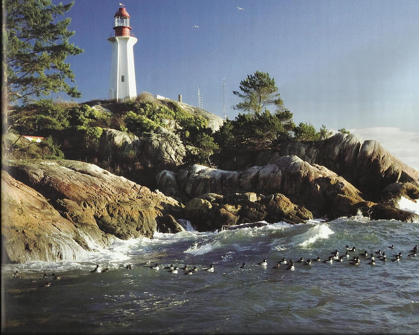 灯台 2、灯台、水、岩、木 高画質の壁紙