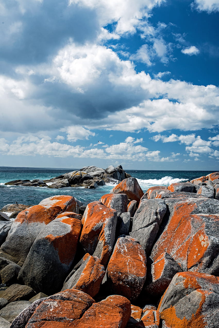 自然, 石, 湾, オーストラリア、Binalong Bay HD電話の壁紙
