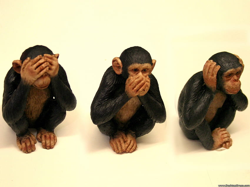 Animals Background Hear No Evil, See No Evil, Speak No Evil, Evil Monkey HD wallpaper