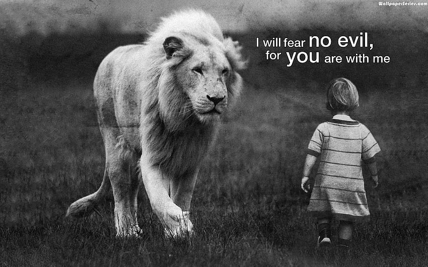 Lion With Quotes, Lion Motivation Bible HD wallpaper