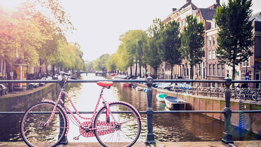 Beautiful Amsterdam iPhone To Inspire Your Wanderlust. Tulips & Travels, Netherlands iPhone HD wallpaper