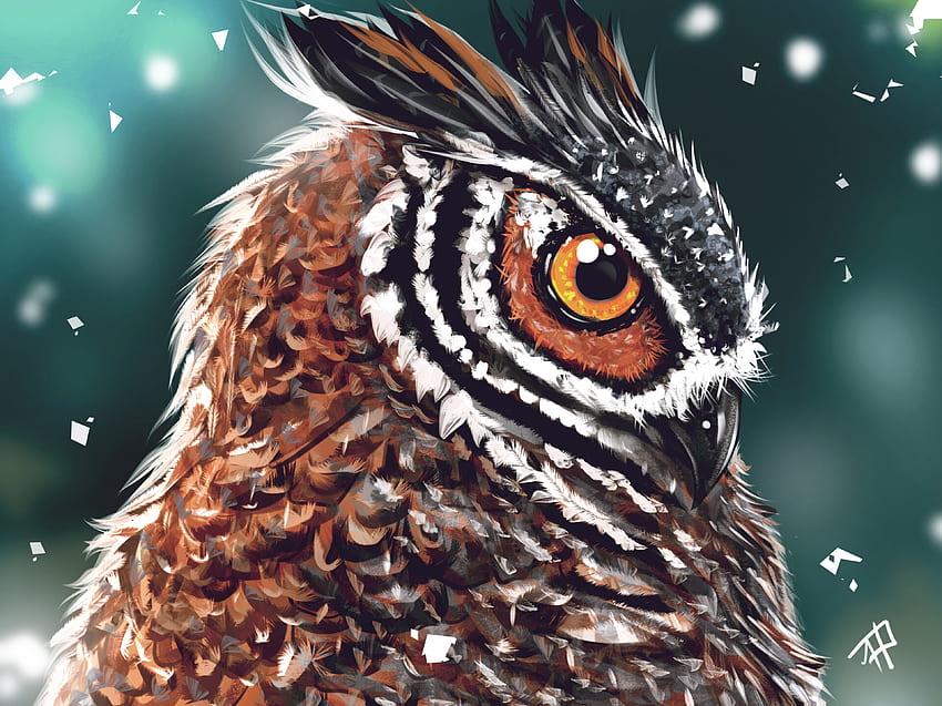Art, Owl, Bird, Beak, Head, Eye HD wallpaper