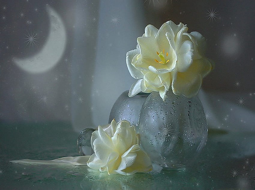 月明かりの夢、白、花瓶、美しい、星、半月、月明かり、月、ガラス、花、夢のような 高画質の壁紙