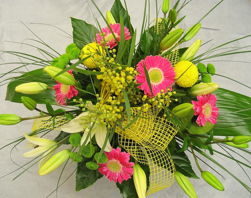 Blumen, Lilien, Gerbera, Typografie, Registrierung, Blumenstrauß, Mimosen, Mimosen HD-Hintergrundbild