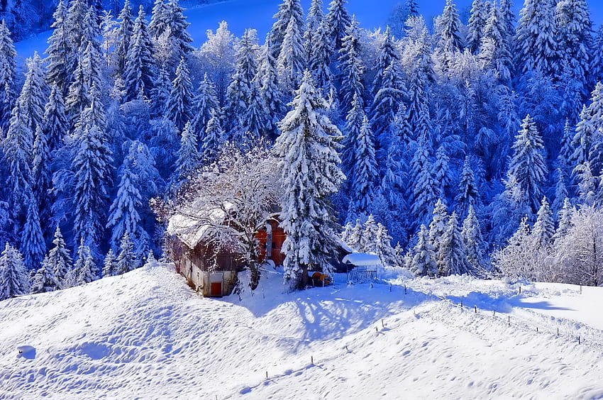 ฤดูหนาว ธรรมชาติ ต้นไม้ หิมะ บ้านหลังเล็ก บ้านพัก ระดับความสูง วอลล์เปเปอร์ HD