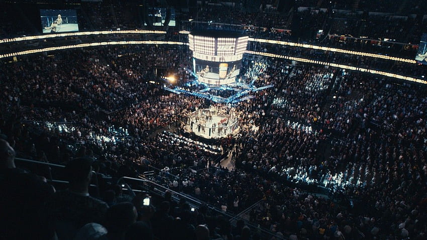 Octogone UFC, Cage UFC Fond d'écran HD