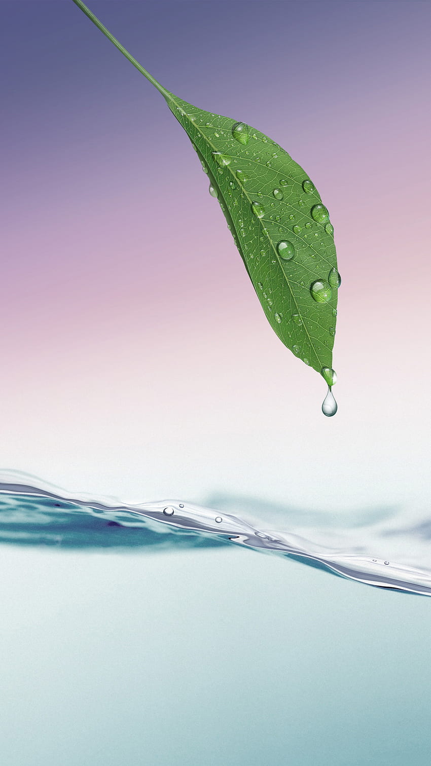 Green Leaf Dew Water Lockscreen Android ... HD phone wallpaper