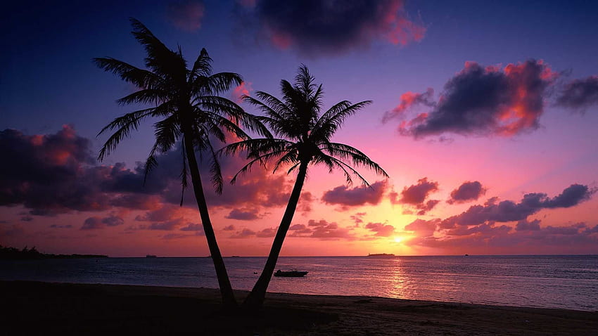 Zachód słońca w tle, zachód słońca Hawaje Beach Tapeta HD