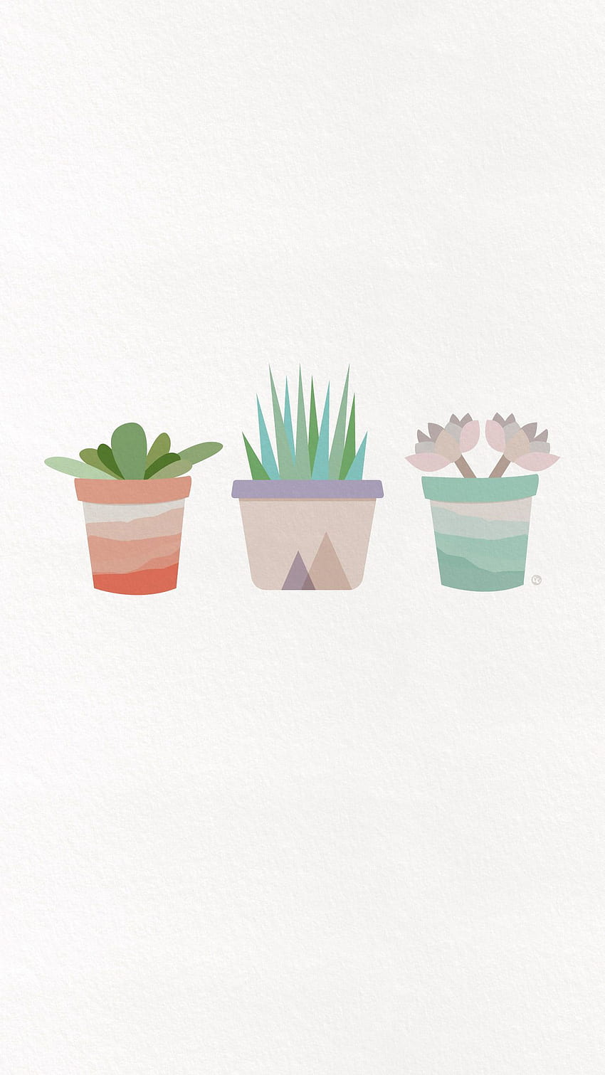 iPhone . Flowerpot, Echeveria, Illustration, Cactus, Minimal Plant HD phone wallpaper