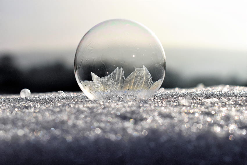 : water, snow, cold, winter, drop, white, sunlight, morning, frost, ice, reflection, weather, close up, icy, ball, wintry, zing, back light, macro graphy, eiskristalle, crystals, soap bubbles, frozen bubble, atmosphere HD wallpaper