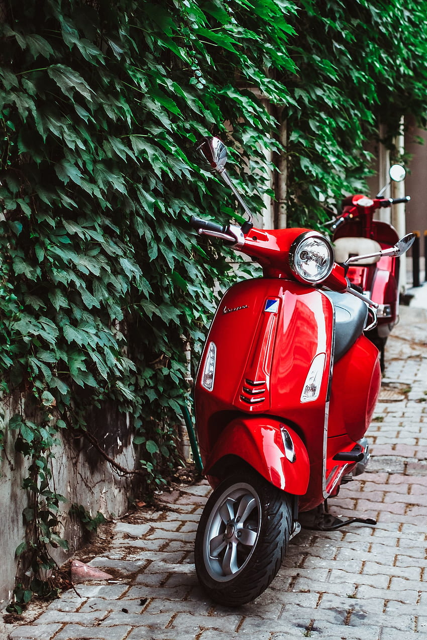 Red Vespa, scooter HD phone wallpaper