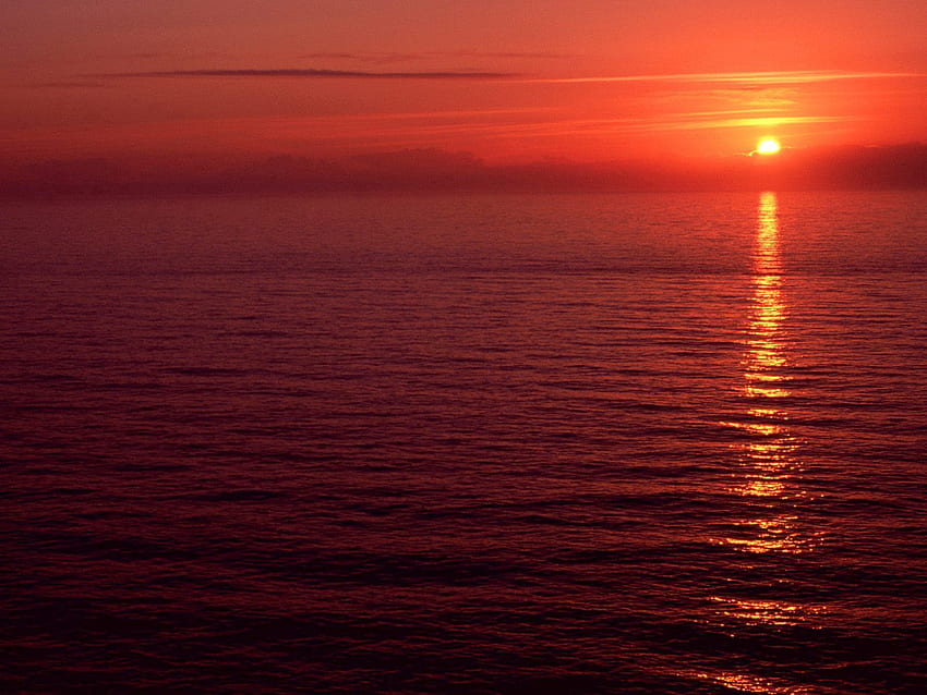 자연, 바다, 태양, 저녁, 오레곤, 진정 HD 월페이퍼