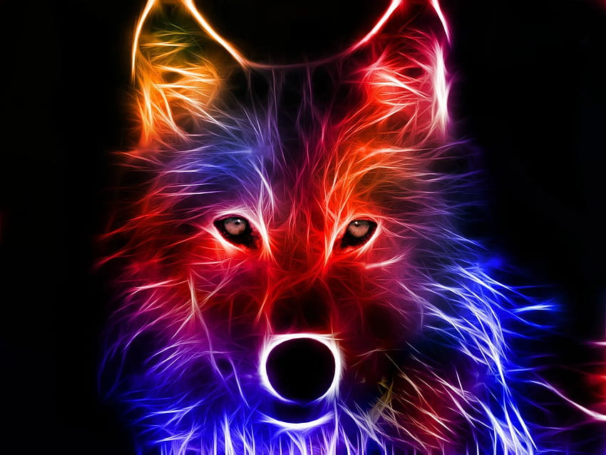 Colorful fox 3D . wide . Background Backgr. Wolf , Animal , Abstract wolf HD wallpaper