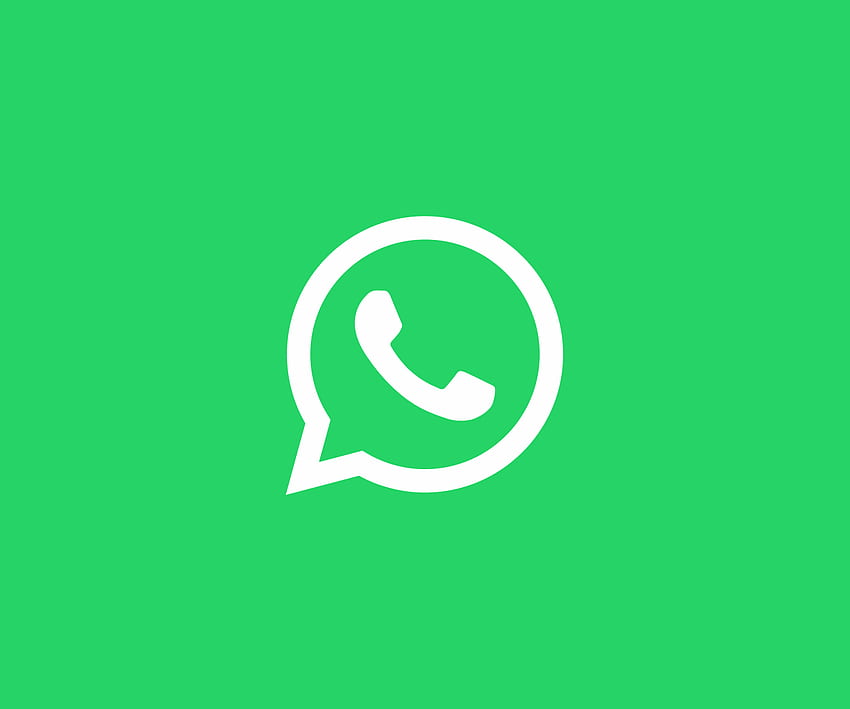 What happens to a WhatsApp account after you die - Infobae